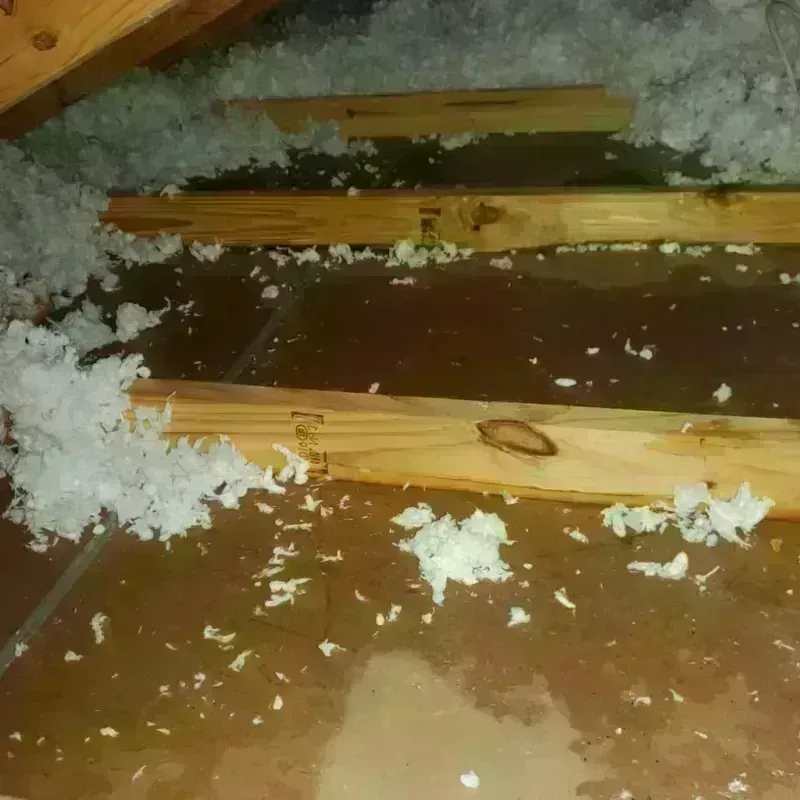 Attic Water Damage in Quanah, TX